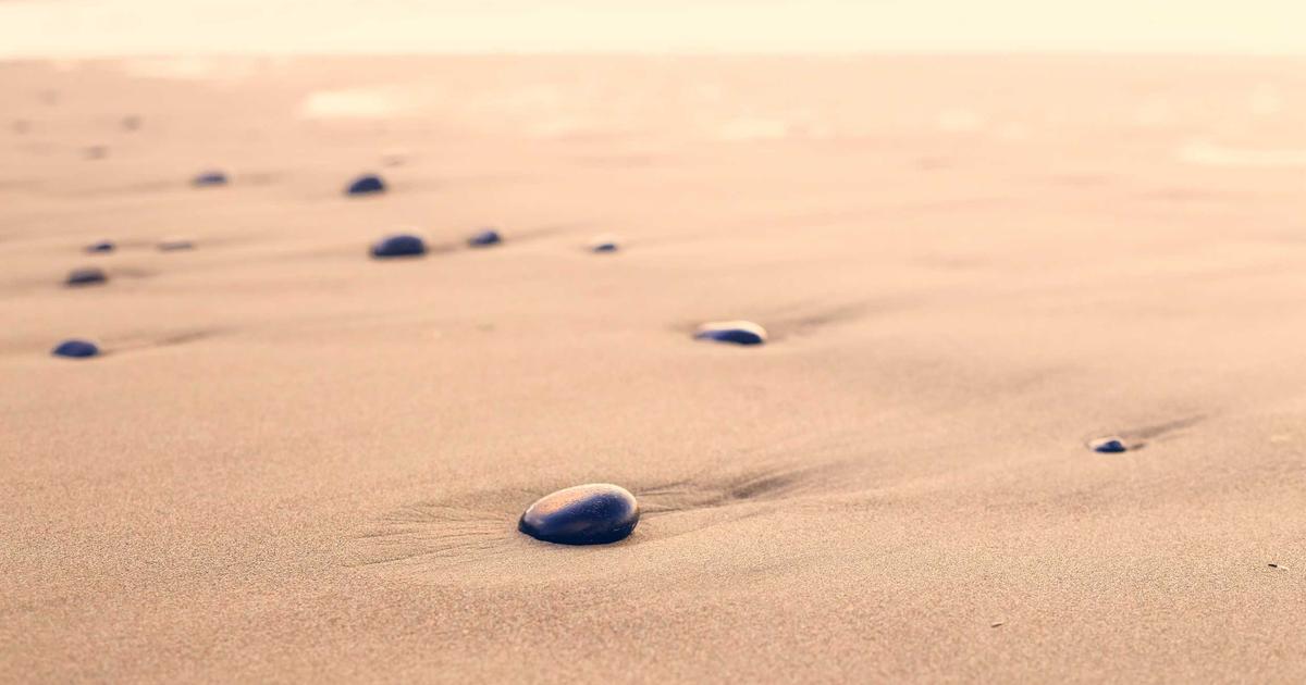 パソコンで情報収集するイメージ